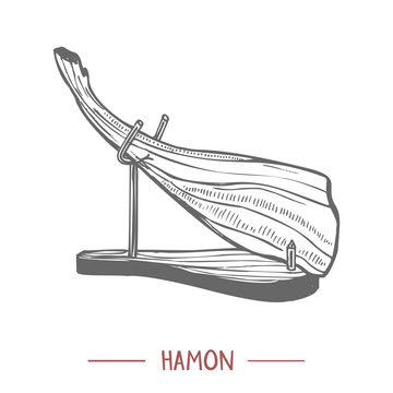 Hamon Illustration in Hand Drawn Graphic Style