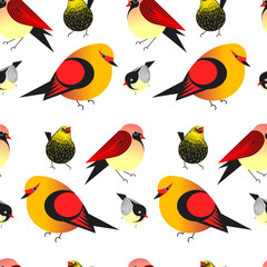 Bird different types of animals bullfinch seamless pattern vector.