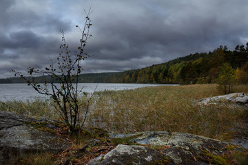 Fototapeta na wymiar Russia. Karelia. Gloomy autumn on lake Ladoga