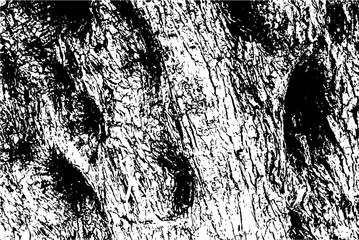 The trunk of an old olive tree. Natural design element. Vector illustration. © 008melisa