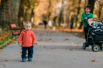 Autumn portrait of toddler boy walking in the park