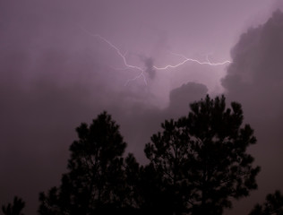 Fototapeta premium Lightning strike above the treeline