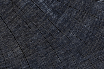 Fototapeta premium wood brown grain texture, dark wall background, top view of wooden table