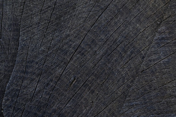 Fototapeta premium wood brown grain texture, dark wall background, top view of wooden table