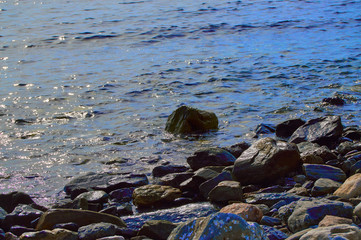 stones of the horseshoe beach