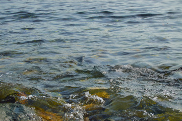 stones of the horseshoe beach