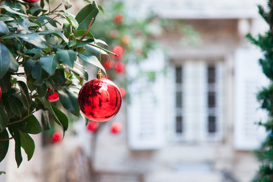 Fototapeta Red Christmas balls and ornaments on branches of tree. Background with stone house, white window, wooden shutters in european streets of old town. Cozy authentic yard.