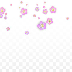 Vector Realistic Pink Flowers Falling on Transparent Background.  Spring Romantic Flowers Illustration. Flying Petals. Sakura Spa Design. Blossom Confetti. Design Elements for Wedding Decoration.