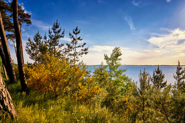 View from the Baltic Sea cliff on the Baltic Sea.
