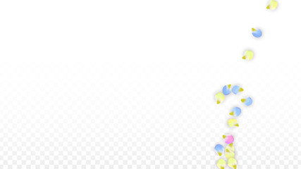 Vector Realistic Colorful Petals Falling on Transparent Background.  Spring Romantic Flowers Illustration. Flying Petals. Sakura Spa Design. Blossom Confetti. Design Elements for Wedding Decoration.