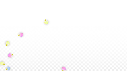 Vector Realistic Colorful Petals Falling on Transparent Background.  Spring Romantic Flowers Illustration. Flying Petals. Sakura Spa Design. Blossom Confetti. Design Elements for Wedding Decoration.