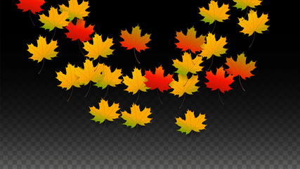 September Vector Background with Golden Falling Leaves. Autumn Illustration with Maple Red, Orange, Yellow Foliage. Isolated Leaf on Transparent Background. Bright Swirl. Suitable for Posters.