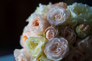 Summer blossoming delicate roses on blooming flowers festive background