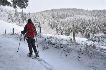 Woman with red backpack snowshoeing in hilly lanscape with coniferous forests. Bavaria, Germany