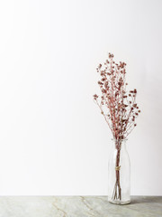 Bouquet of dried and wilted red Gypsophila flowers in glass bottle on matt marble floor and white background with copy space