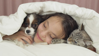 Happy teen girl communicates with dog Papillon and Thai cat in bed