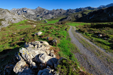 Landscape of Picos de Europa National Park
