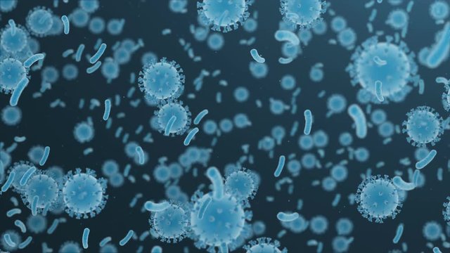 Bacteria and virus cells animation. Seamless loop Uhd