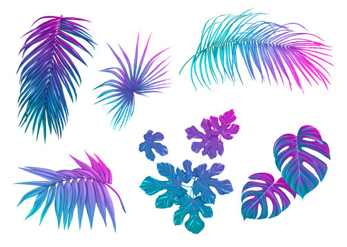 Set of tropical leaves in nein colors