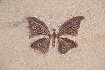 Fototapeta na wymiar butterfly under my foot