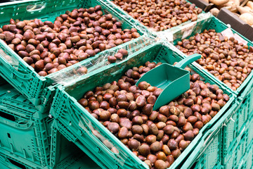 chestnut nut on the shop counter