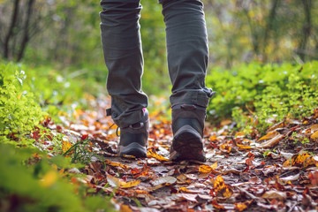 Woman is wearing hiking boot and walking on footpath in forest at autumn