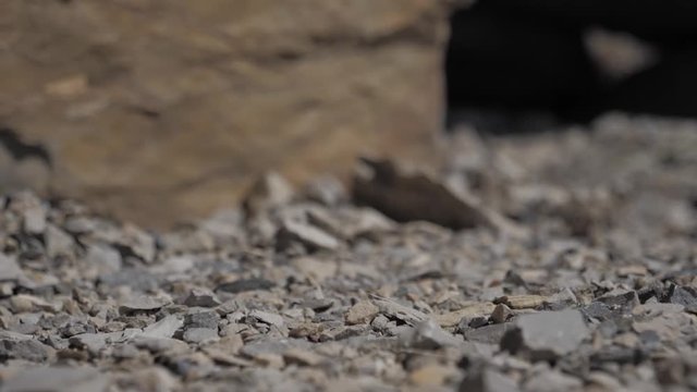 Close-up of a sandstone and limestone formation. Natural stones in different sizes and colors of brown, red and gray. Horizontal tracking shot with short depth of field. Big rocks and gravel.