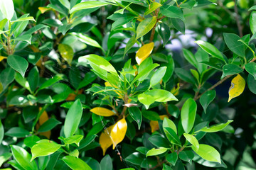 background,texture,abstract,wall