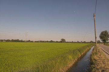 Fototapeta na wymiar Milan, Italy - panorama in the countryside