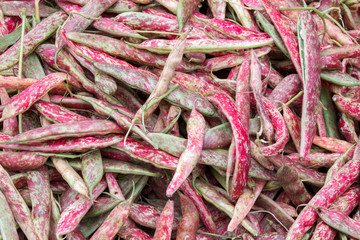 Fresh red beans (roman beans) as background on market stall
