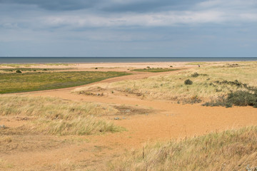 Fototapeta na wymiar Norfolk sand dunes