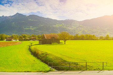 Colorful alpine meadows in the mountains of Austria