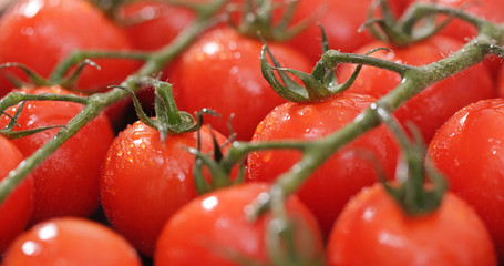 Red cherry tomato