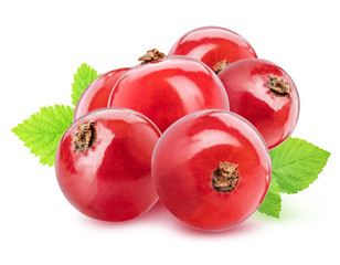 Red currant isolated on white background. Clipping path
