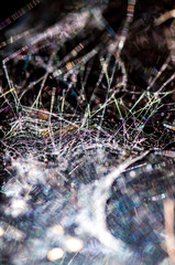 Abstract spider web background.