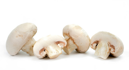 champignons on white background