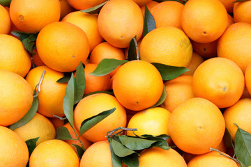 Lot of oranges as background