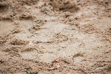 Wet sand surface is close