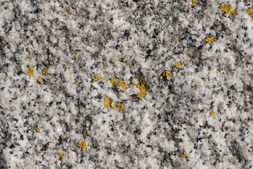 Granite surface texture