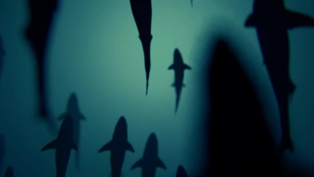 4K Shark Silhouettes Passing Overhead. Realistic CGI animation.