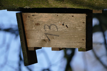 Vogelhaus aus Holz an einem Baumstamm