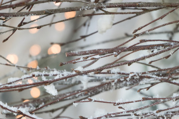 Winter branches of a tree with sleeping buds under snow are on a blurred background of Christmas bright lights of city. Winter holidays in a countryside.