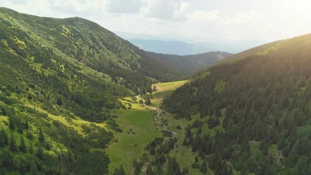Aerial Drone Flight View: beautiful mountain landscape. Green canyon with pine tree forest and curve river in sunset. Nature, travel, hiking, holidays concept. Carpathian mountains, Ukraine. 4K motion