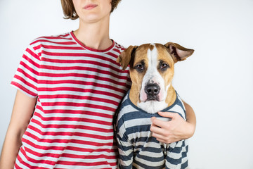 Dog and owner in similar clothes. Staffordshire terrier and human dressed in same t-shirts in...