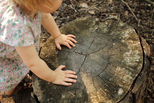 Kinderh&auml;nde auf Baumstamm