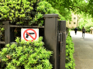 The Sign "No Gun" in Chicago, IL