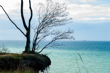 view from a cliff at the baltic sea