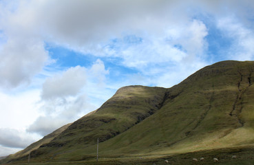 Mountain flock