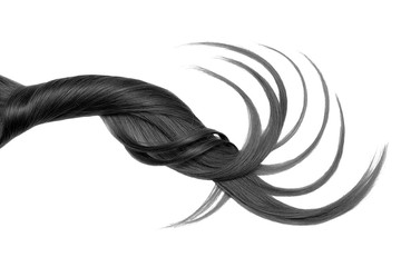 Black hair, isolated on white background. Long and disheveled ponytail
