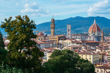 Fototapeta na wymiar Ancient city center, Florence, Tuscany, Italy. Varicoloured beautiful building in ancient European town, view from Boboli Gardens, Florentine amazing landscape.